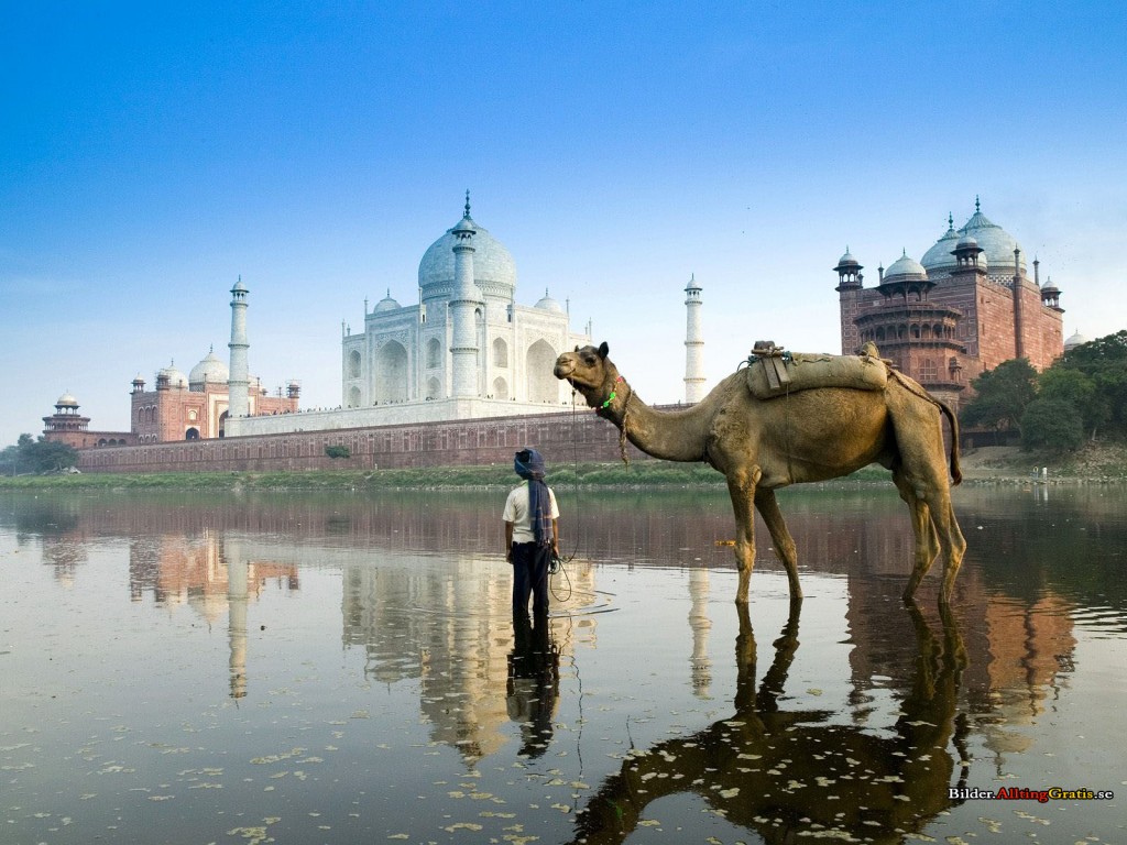 Indienkanel