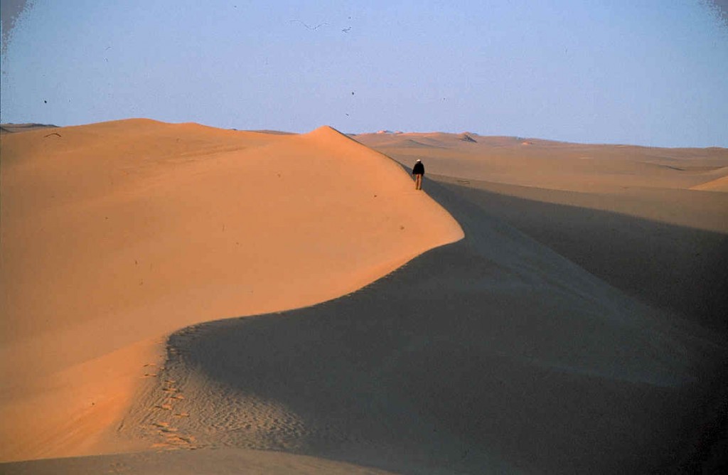 Safari_siwa_Egypten