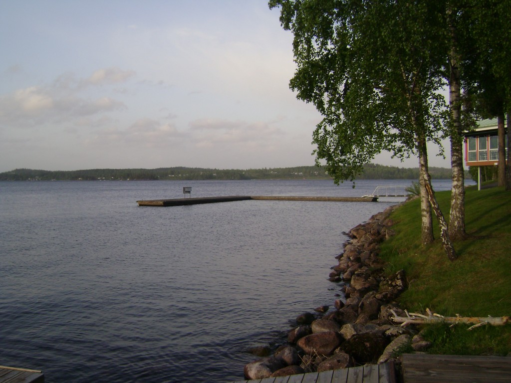 DSC02617