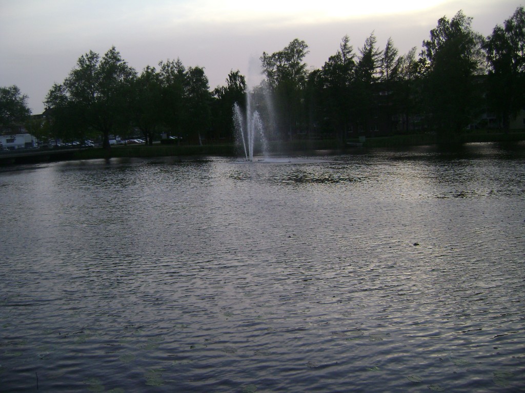DSC02624